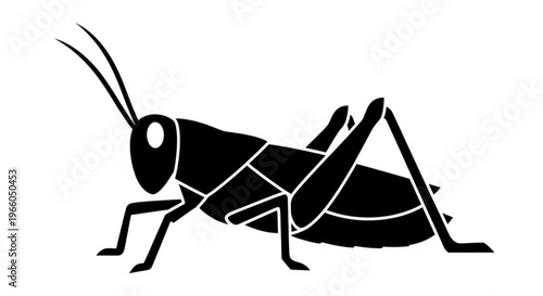 Green grasshopper insect macro close-up isolated on white background showing detailed antenna legs wildlife nature bug hopper jump leaf detail