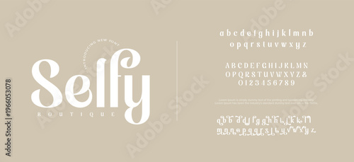 Abstract modern alphabet fonts. Elegant alphabet letters font and number. Classic Lettering Minimal Fashion Designs