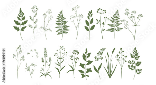 Minimalist botanical line art collection, hand drawn wild flowers and forest fern leaves, 20 green floral vector elements for wedding stationery