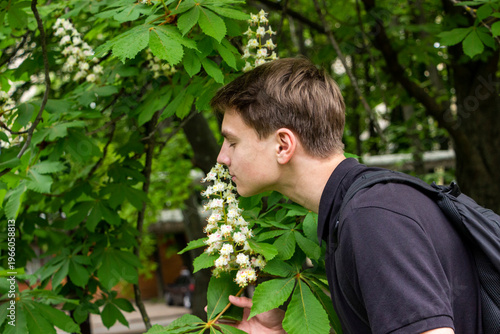 Εκτύπωση καμβά teenager boy sniffs white flower buds, blooming horse chestnut candles, allergy,