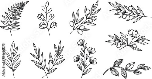 Botanical elements for organic brand identity and floral design