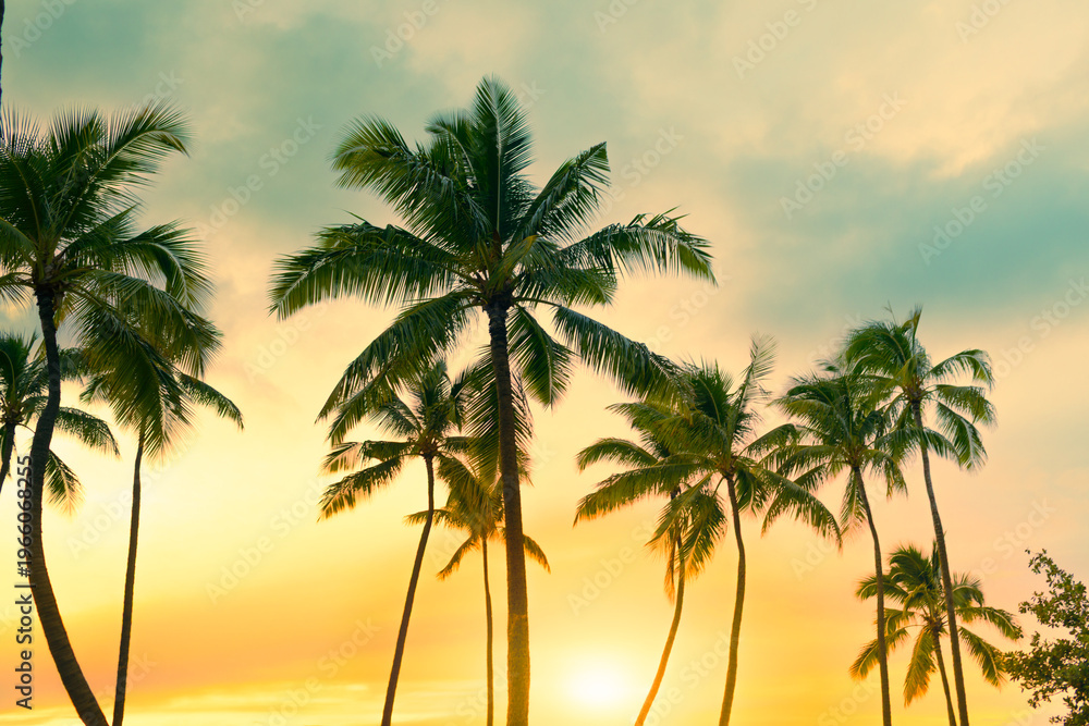 Obraz premium Silhouette of tropical palm trees with sun light on colorful sky background. 