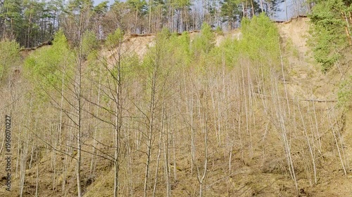 Puckoriu outcrop in Vilnius, sandy cliff covered with trees above river, scenic natural landscape, forested bluff, outdoor nature view, serene riverside scene. 4K video footage