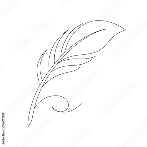 Simple feather line drawing