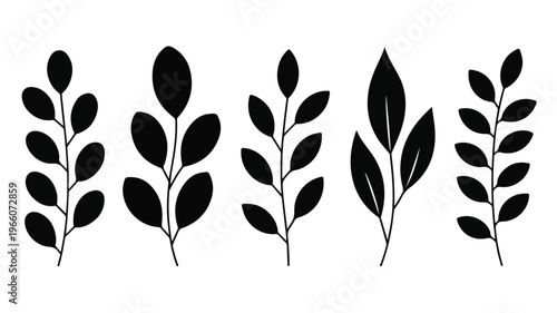 The illustration shows five black botanical leaf silhouettes against a white background.