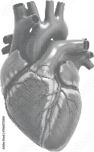 Anatomical human heart halftone design concept with dots texture for cardiology medical research and cardiovascular health.