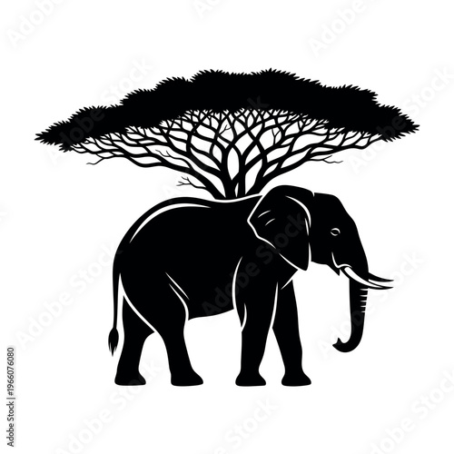 Black silhouette vector illustration of an African elephant standing under an acacia tree.