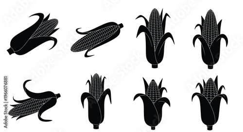 Several corn cobs displayed in a striking black silhouette