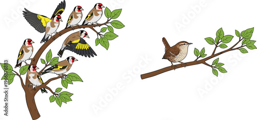 Colorful Bird Branch Collection Set with Goldfinch and Wren Birds Perching on Tree Branches Wildlife Illustration Design