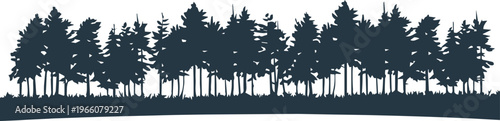 forest trees foliage vector illustration trunks canopy