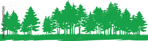 forest silhouette vector illustration trees grass landscape