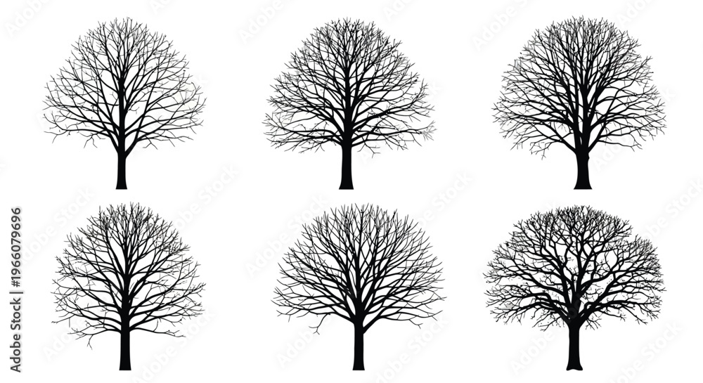 Fototapeta premium Six silhouetted trees with bare branches against a white background