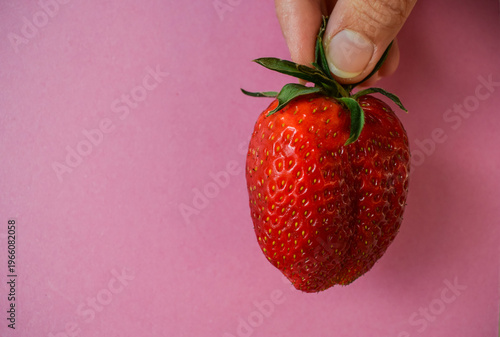 Person Holding Handful of Ripe Strawberries for Summer Harvest Concept