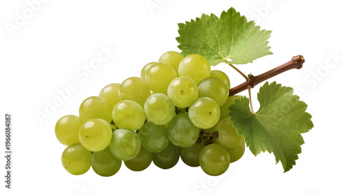 Obraz na plátně Lush green grape bunch leaves stem, isolated on transparent background
