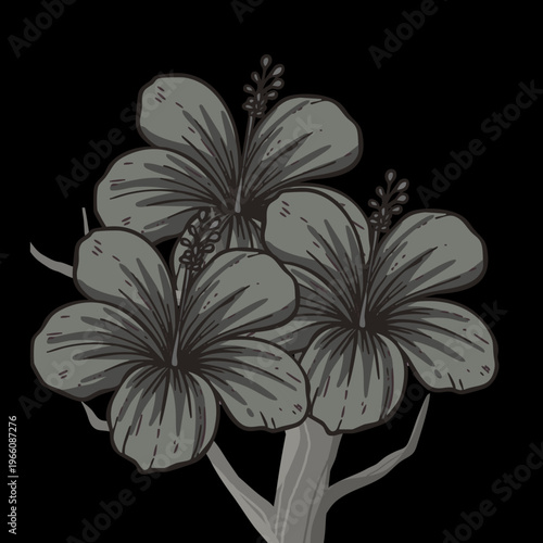Hibiscus Flower Vector on Black Background | Elegant Botanical Floral Illustration for Design