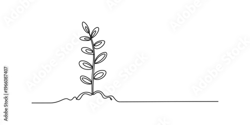 A minimalist single continuous line drawing of a small sprouting plant growing from the soil Vector, illustration