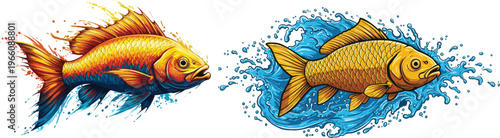 Two colorful goldfish swimming in water with splash effect on white background