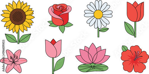 Colorful Flower Collection Featuring Sunflower, Rose, Daisy, Tulip, Lily, Lotus, and Hibiscus for Floral and Nature Illustrations