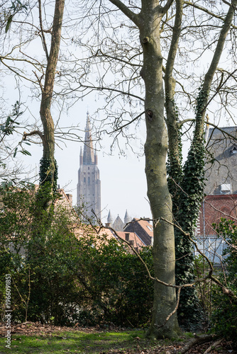 Bruges scene prominent gothic architecture tower church of our lady framed by trees in a park. Belgium Onze Lieve Vrouwekerk tourist culture destination sunny day blue sky