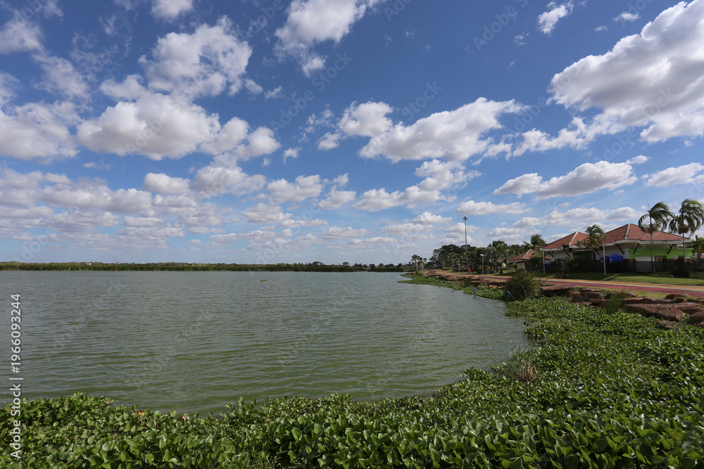 Obraz premium The scenery around Bueng Thung Sang has water hyacinths growing along the shore.