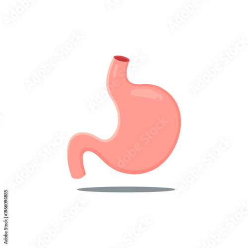 Human stomach icon logo flat vector design