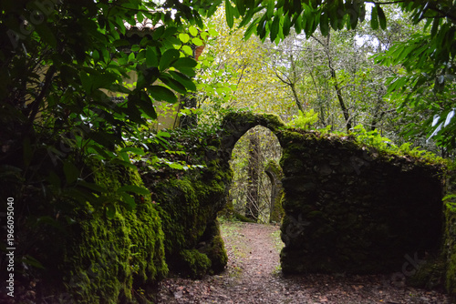A forest path, blocked by a fallen tree, forms a natural arch over a narrow trail in Busaco Park, Portugal. Themes: sustainability, obstacles, and harmony between nature and humankind.