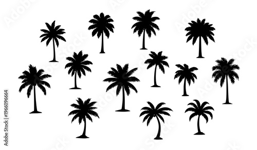 Isolated Palm Tree Silhouettes Tropical Nature Circular Vector Set