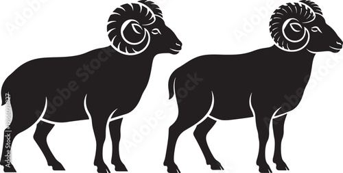Silhouette of two majestic rams with large spiral horns isolated on a white background.