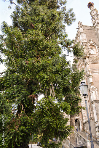 A forest path, blocked by a fallen tree, forms a natural arch over a narrow trail in Busaco Park, Portugal. Themes: sustainability, obstacles, and harmony between nature and humankind.