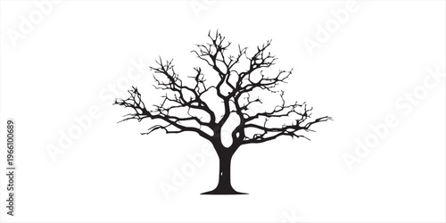 Silhouetted tree with extensive roots against a white background