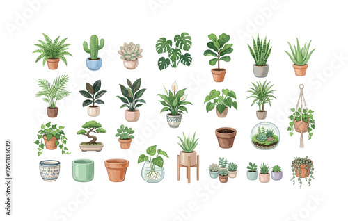 Charming collection of various potted houseplants and decorative planters