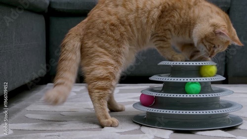 Ginger cat playing with a toy on the floorм