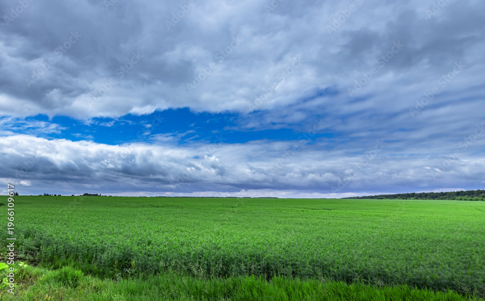 Obraz premium Vast green field stretches under dramatic, cloud-filled sky