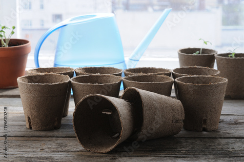 Planting seedlings in peat pots on wooden table, closeup.