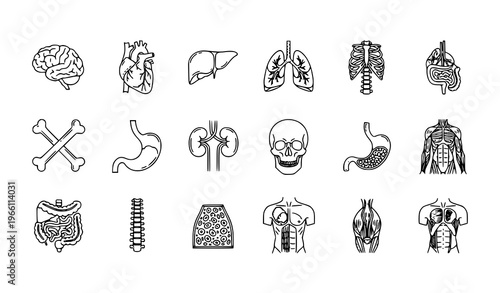 Human anatomy medical line icons collection with internal organs muscles and skeletal system editable stroke vector