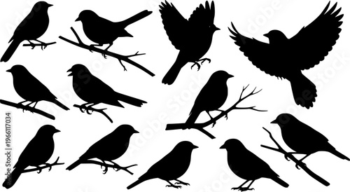 Black bird silhouette collection featuring diverse poses, perched and flying positions, elegant songbird vector set for nature illustrations, wildlife graphics
