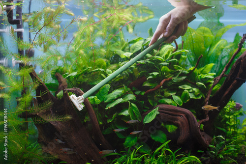 Hand cleaning aquarium glass during routine maintenance