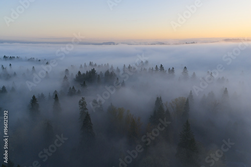 Fog drifts over a scenic forest of evergreen fir trees in Oregon, just south of Portland. The entire Pacific Northwest region is known for its magnificent forests and mountainous landscapes.