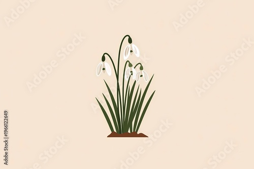 snowdrops illustration, minimalistic 