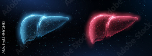 Blue and red glowing liver organs in digital style. Healthcare anatomy, medical diagnosis, human biology, organ research, disease analysis, clinical science concept. Vector illustration