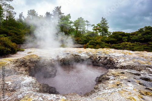The Okataina volcanic center.