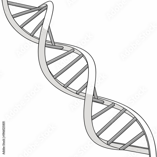 A dna double helix structure