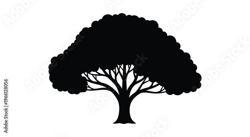 A stark black silhouette of a mature tree with a full rounded crown and visible branching structure high quality professional detailed