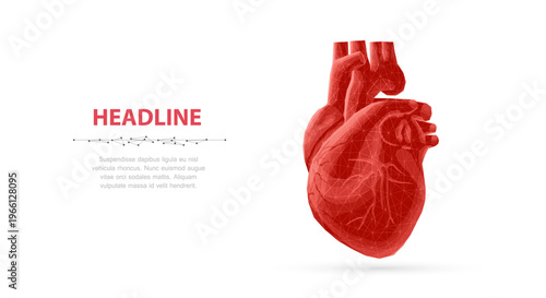 Human heart anatomy isolated on light background. Medical organ illustration, healthcare science, cardiology study, internal body structure, biological anatomy concept. Vector illustration