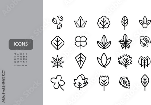 A collection of minimalist line art icons of various leaves, grid format on a clean, light background, with a dark grey sidebar labeled "ICONS" and a small calendar grid 