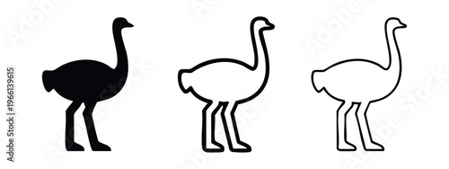 Ostrich icons set. Modern ostrich silhouette and outline symbols. Wild animal graphic elements collection.