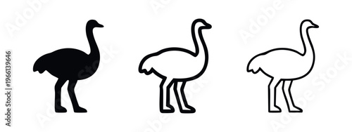 Ostrich icons set. Modern ostrich silhouette and outline symbols. Wild animal graphic elements collection.