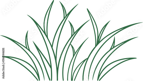 Hand drawn green grass blades on white background leaves