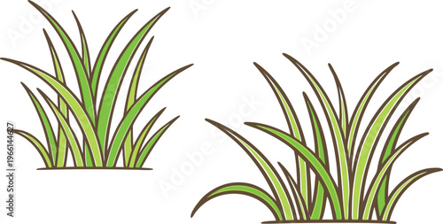 Green grass patches with brown outlines and sketchy lines