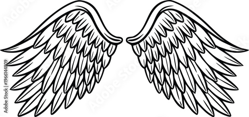 Detailed of angel wings with feather texture black and white line wings feathers
